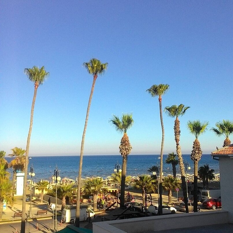 Все, что я помню из “неправильного отпуска” - это вид из окна на пальмы. Потому что в отпуске я работала. Не надо так.