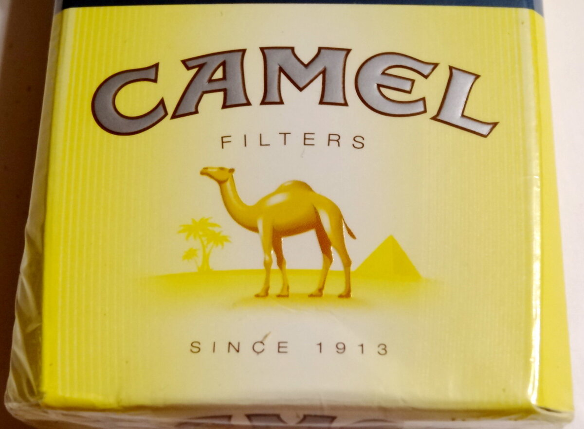 Кемел. Camel сигареты желтая пачка. Camel Yellow сигареты. Camel сигареты желтые. Сигареты Camel Yellow 1913.