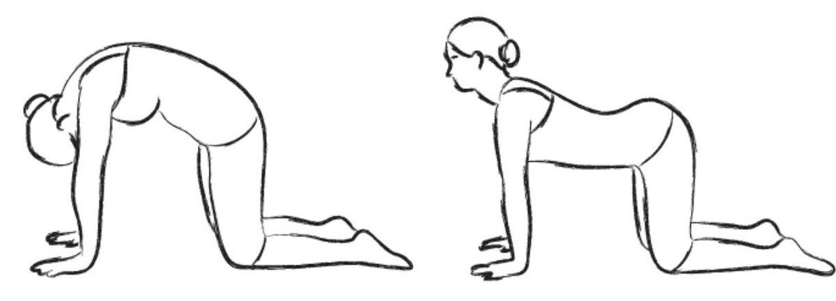 Методика лежания на валиках (метод Фукуцудзи)