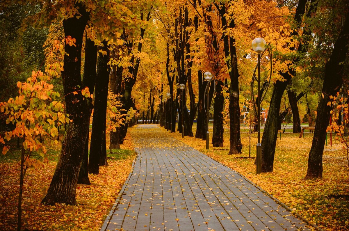 Обожаю осень!