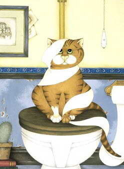 Картинка из интернета. Скизон ни разу не дал себя сфоткать, как только кто либо появлялся в туалете в это время, он начинал дико орать)) Видимо, матом.