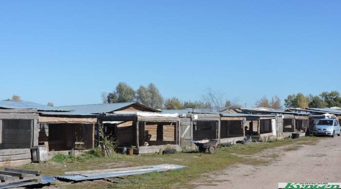 Вольеры в «Сириусе». Фото Саши Май