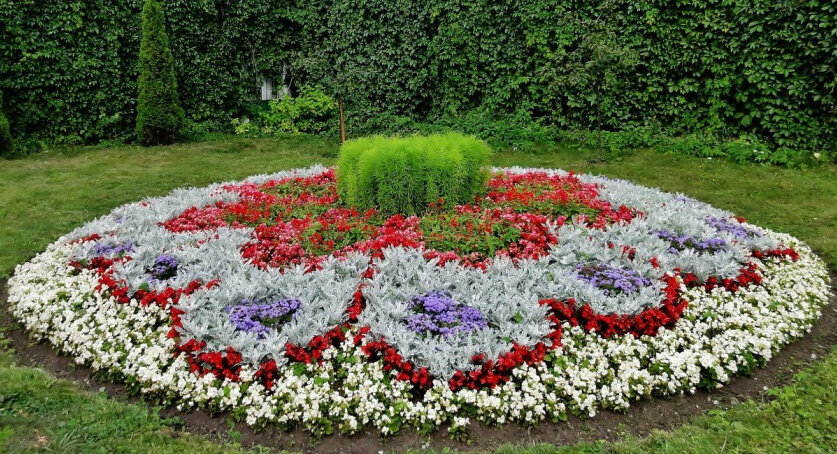 Клумба в стиле "коврик" смотрится очень красиво и аккуратно, кроме того оформить ее не составит большого труда.