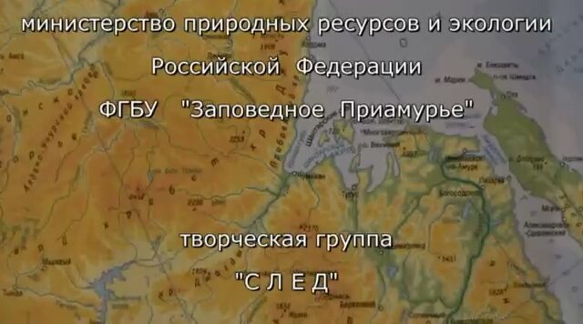  Иван Бахтин: Давайте разберём "по косточкам" мой фильм   Ссылка вконтакте https://vk.com/video-42072148_456239159 и ссылка в одноклассниках https://ok.ru/video/909459853570 Давай, Иван, попробуем.