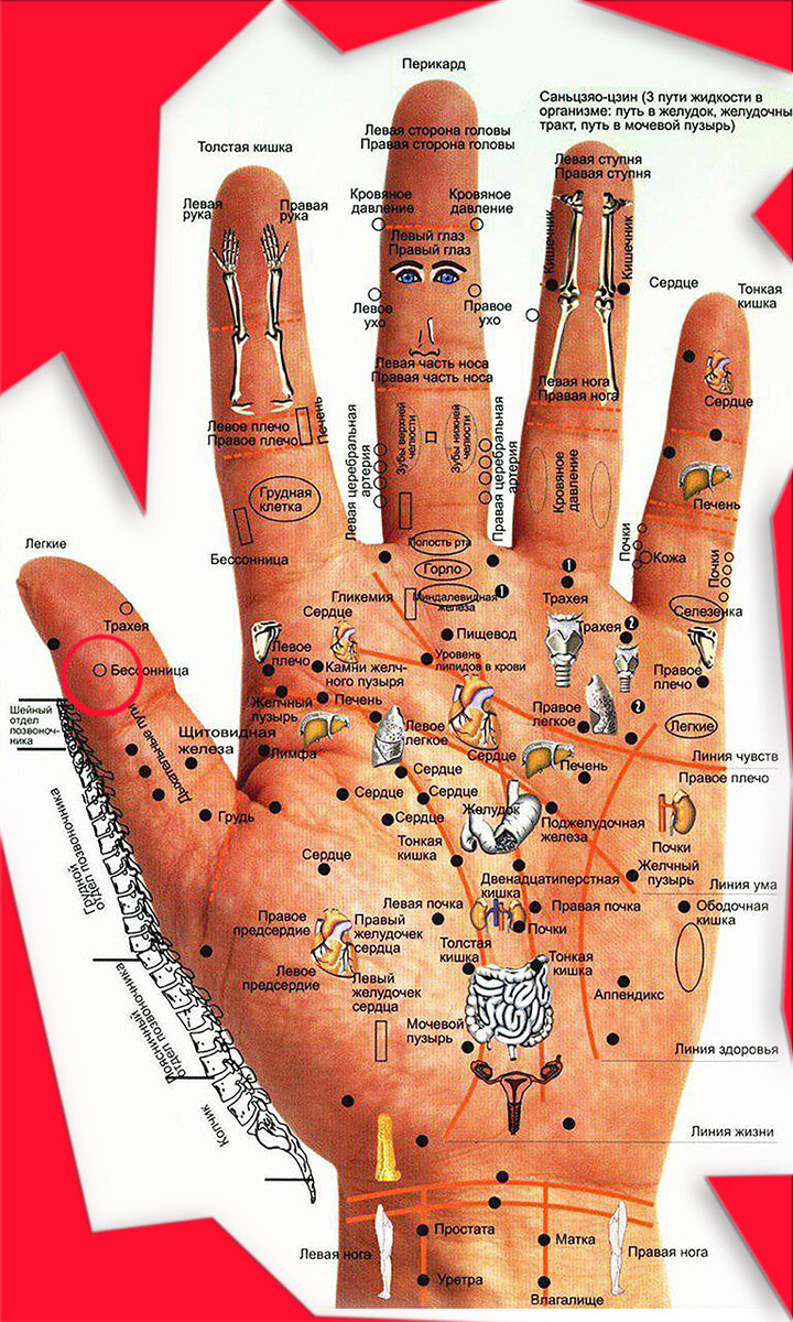 Схема расположения точек акупунктуры на руках