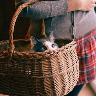 фото из публичного доступа сети Интернет