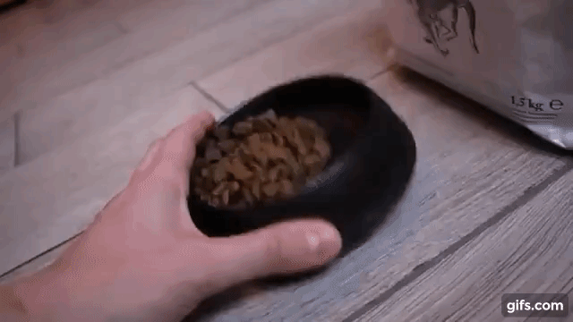 -20