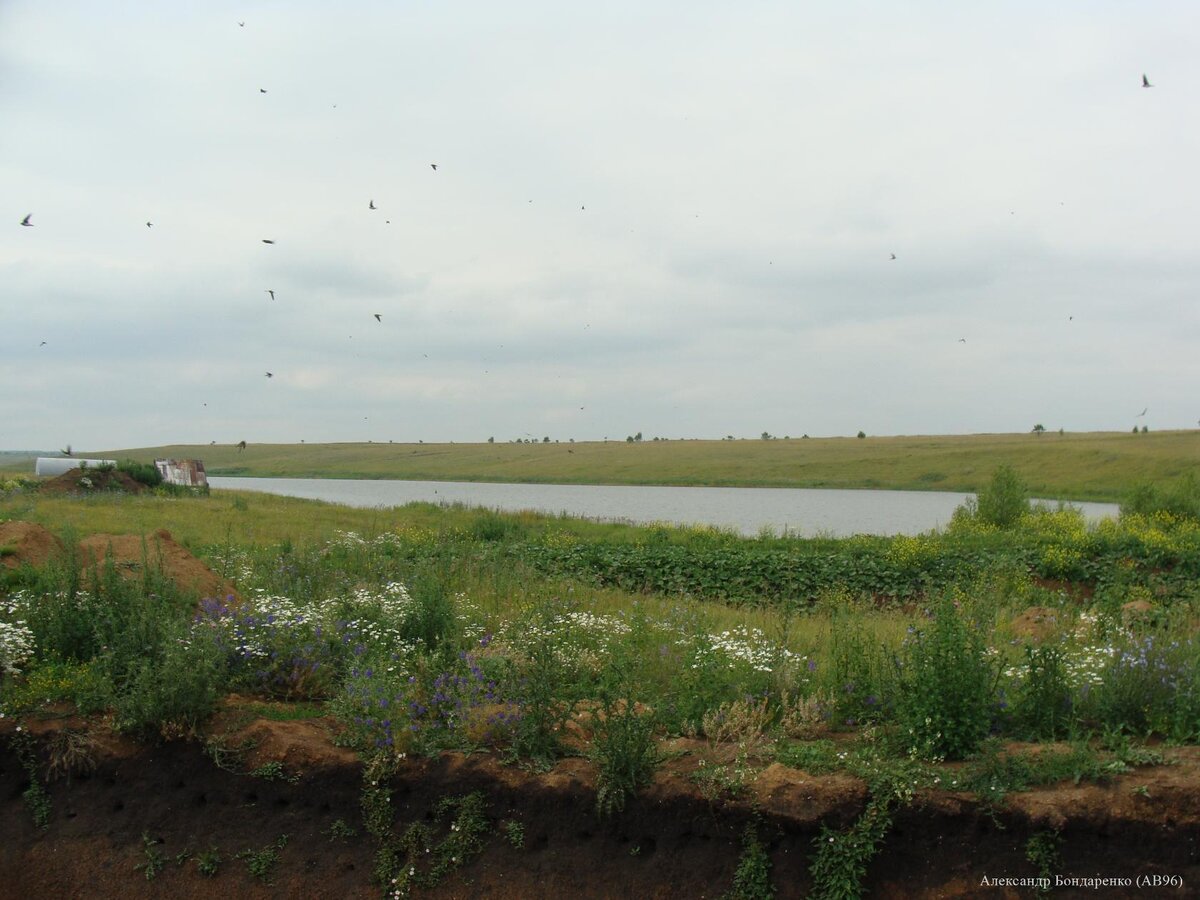 Автор фото я, Александр Бондаренко.