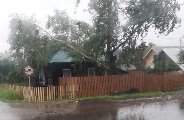 Вот так пол-тополя на крыше оказались. Причем фотка из соцсетей нашего города, сам не догадался сфоткать.