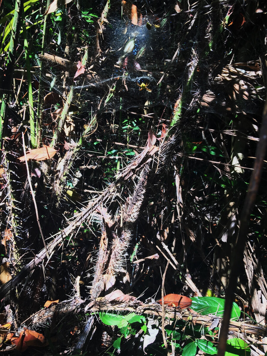 Надо было додуматься майку надеть