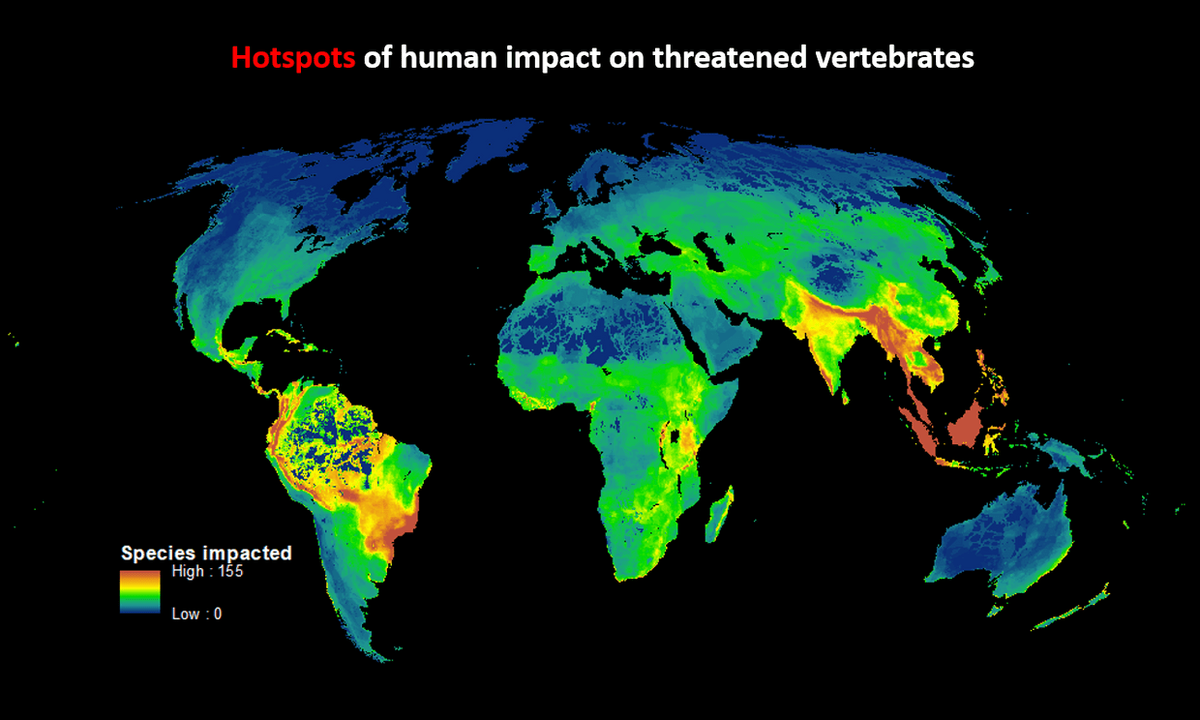 Полное исчезновение. Extinction languages Map Hotspot. Hot spots and Enclaves.