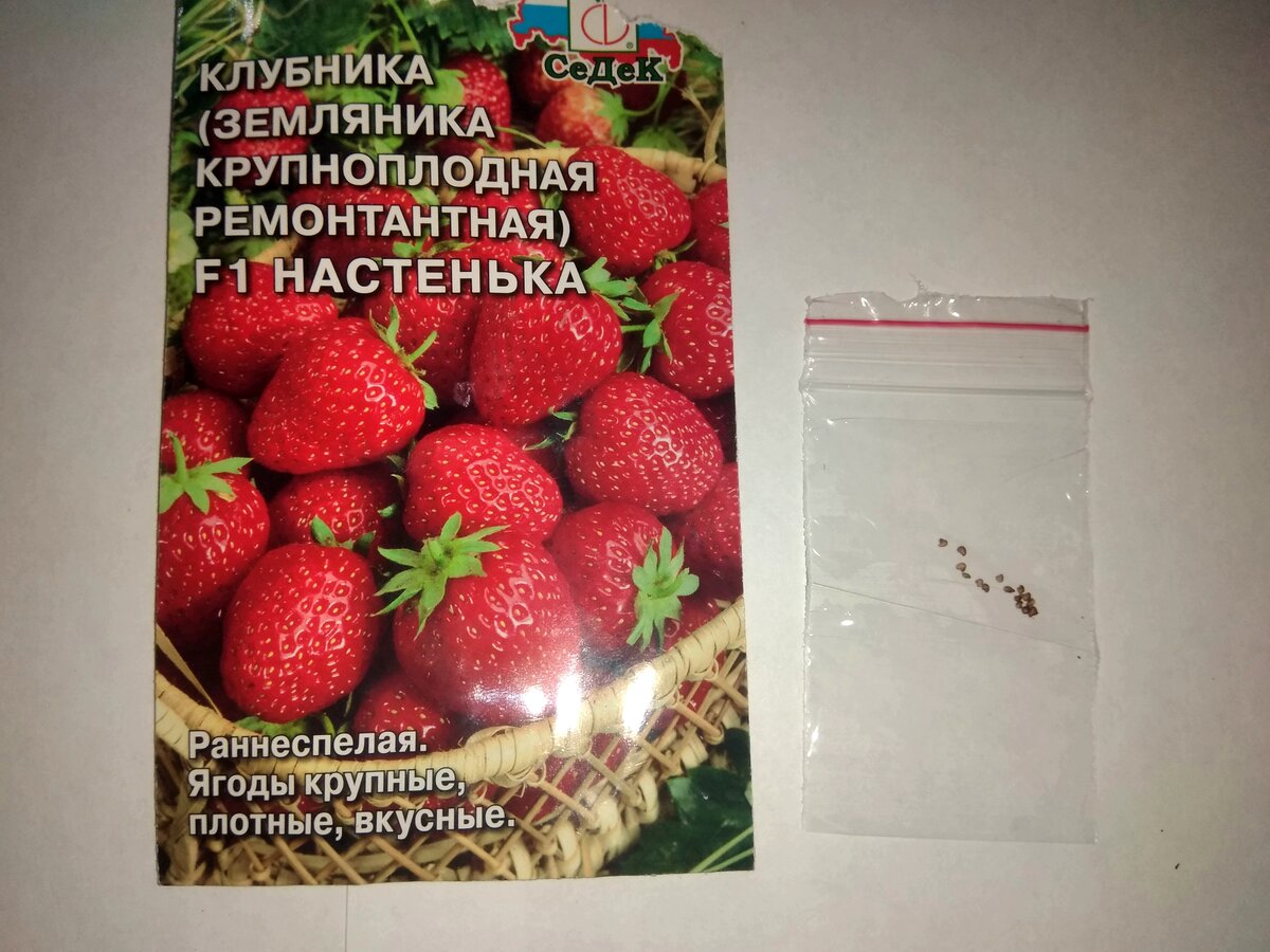 Это пакетик семян стоимостью в 60 рублей. Я понимаю, что цена не очень большая, но меня не оставляет ощущение, что где-то меня обманули.