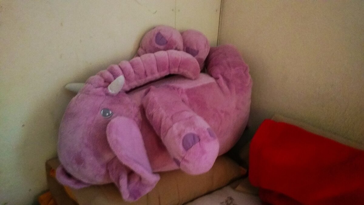 Тот самый слон.