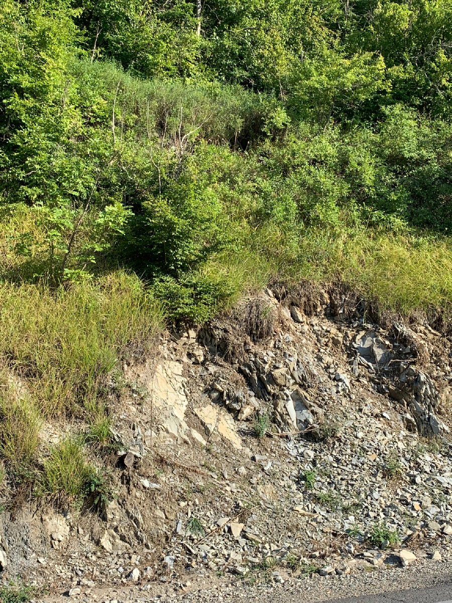 Типичная почва в Новороссийске