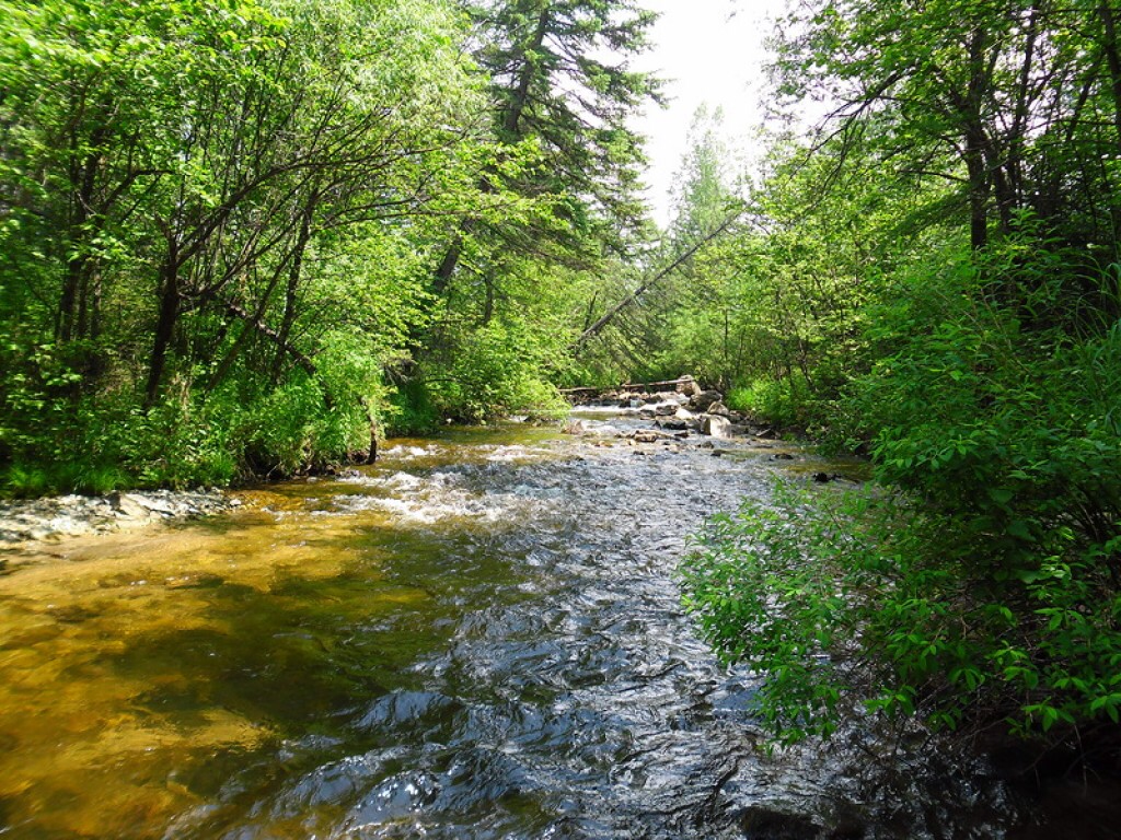 кульдур посёлок городского типа кульдур. кульдур. кульдур. санаторий кульдур хабаровский край. санаторий горняк кульдур.