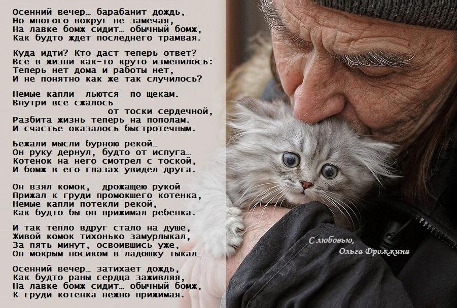 Трогательные стихи, задевают за живое... Автор Ольга Дрожжина