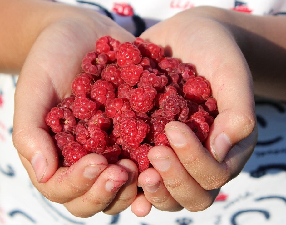 Фото: pixabay.com