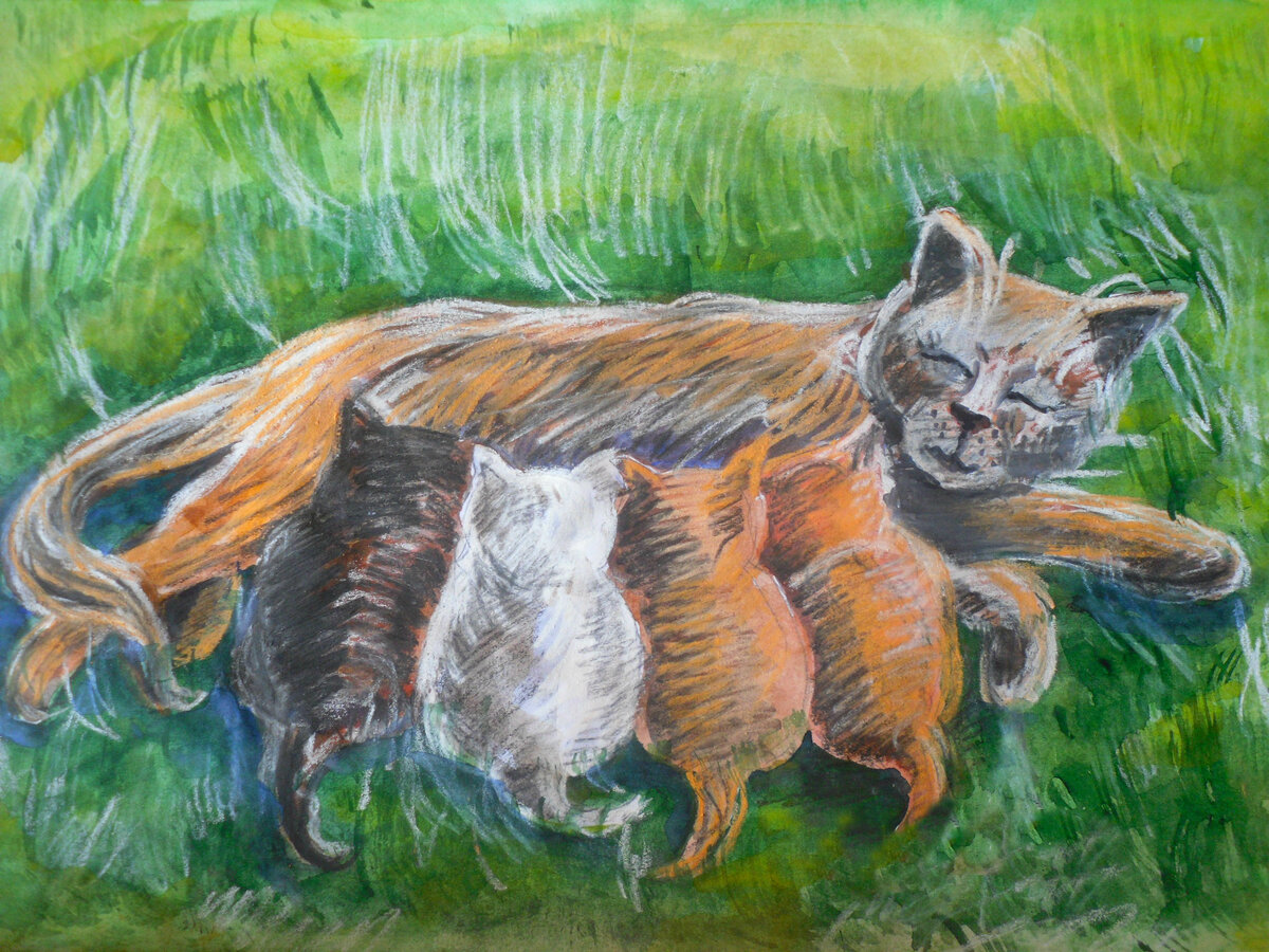 Мой рисунок 2013 года. Позировали: Тигра, Пушок, Пуся, Муля, Тишка