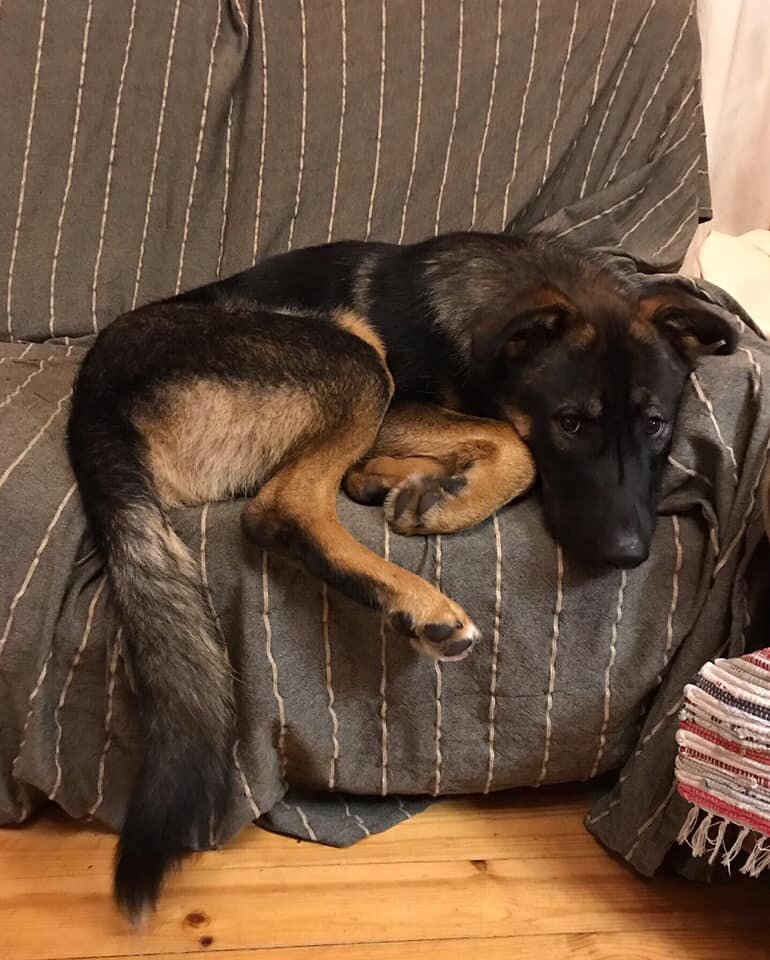 Заходите, гости дорогие, чувствуте себя, как дома!