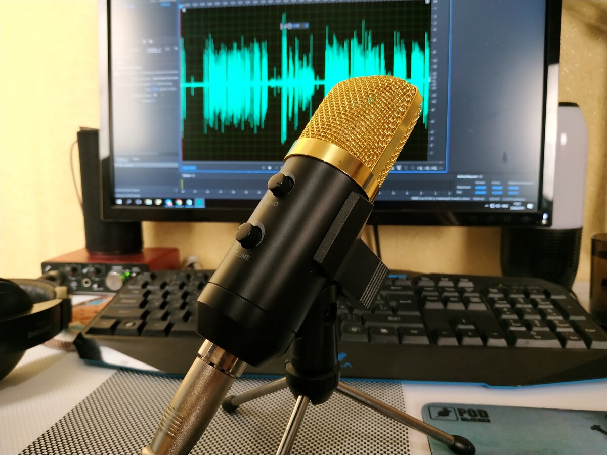 MK-F100TL - Самый дешевый микрофон с Китая. Стоит мало, может многое ...