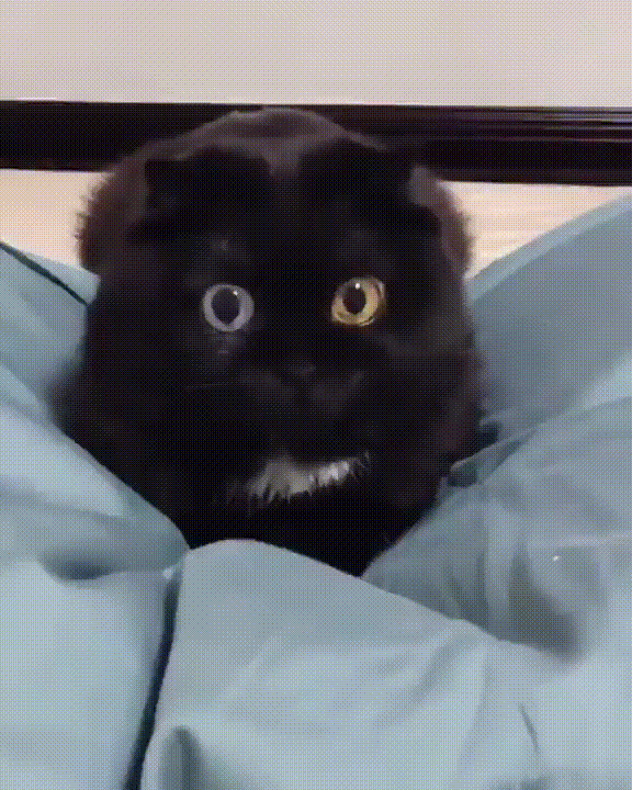 А что это у нас там такое?