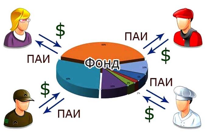 Фото взято из открытого источника.