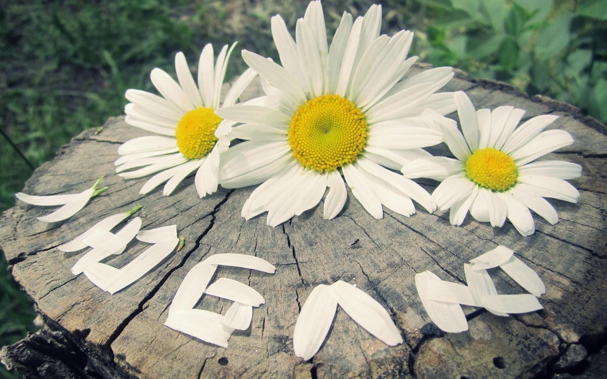 Фото из открытого источника