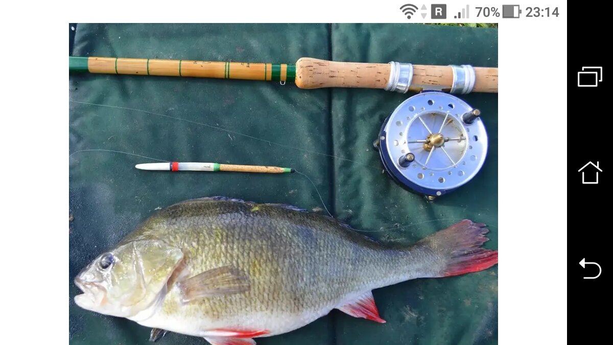 фото подъем поплавка: дробинка + поплавок для ловли окуня