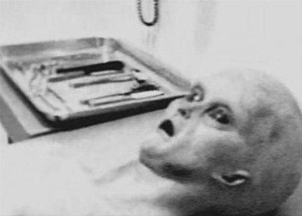 Неужели эволюция на другой планете способна породить столь похожее на нас существо?                                                                      изображение взято с сайта:ufolog.ru