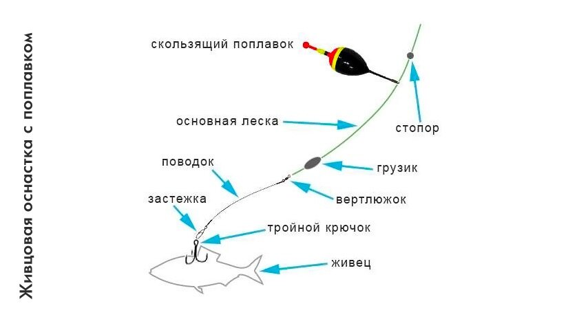 Снасть для ловли щуки на живца с поплавком с берега.