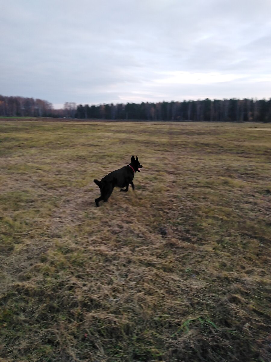 Выпустили на свободу