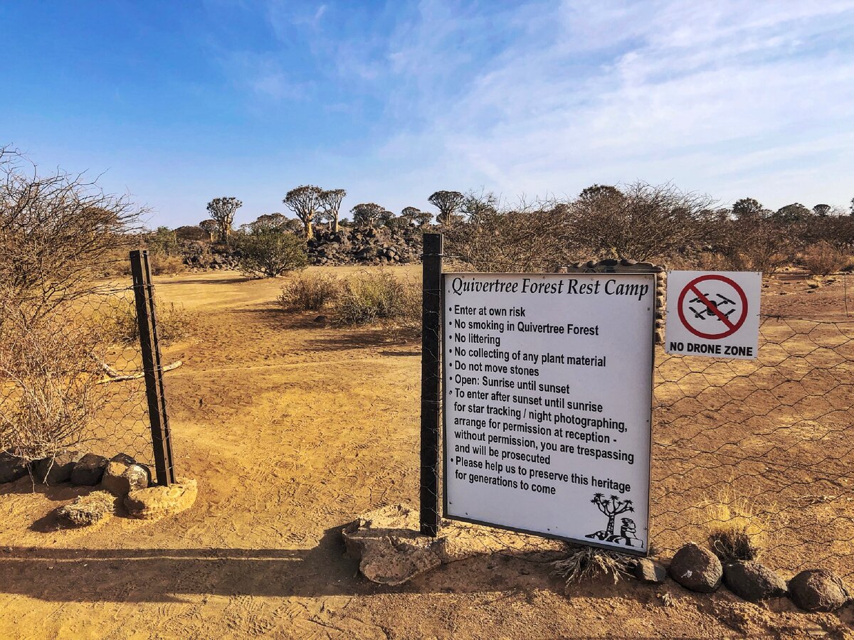 Правила посещения алоэвого леса