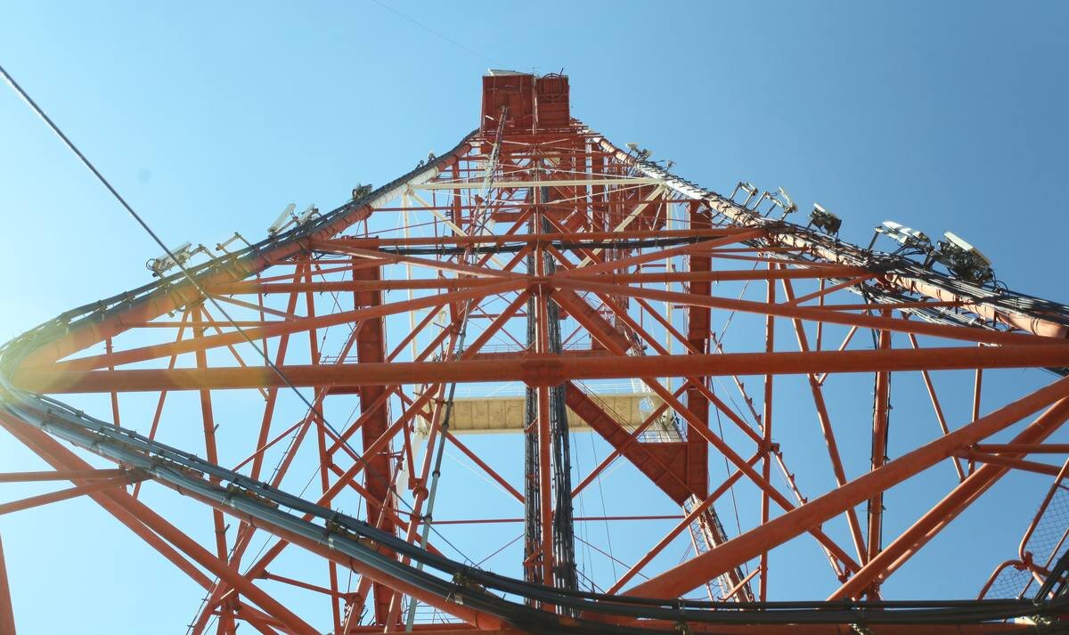 Фото: Андрей Абрамов