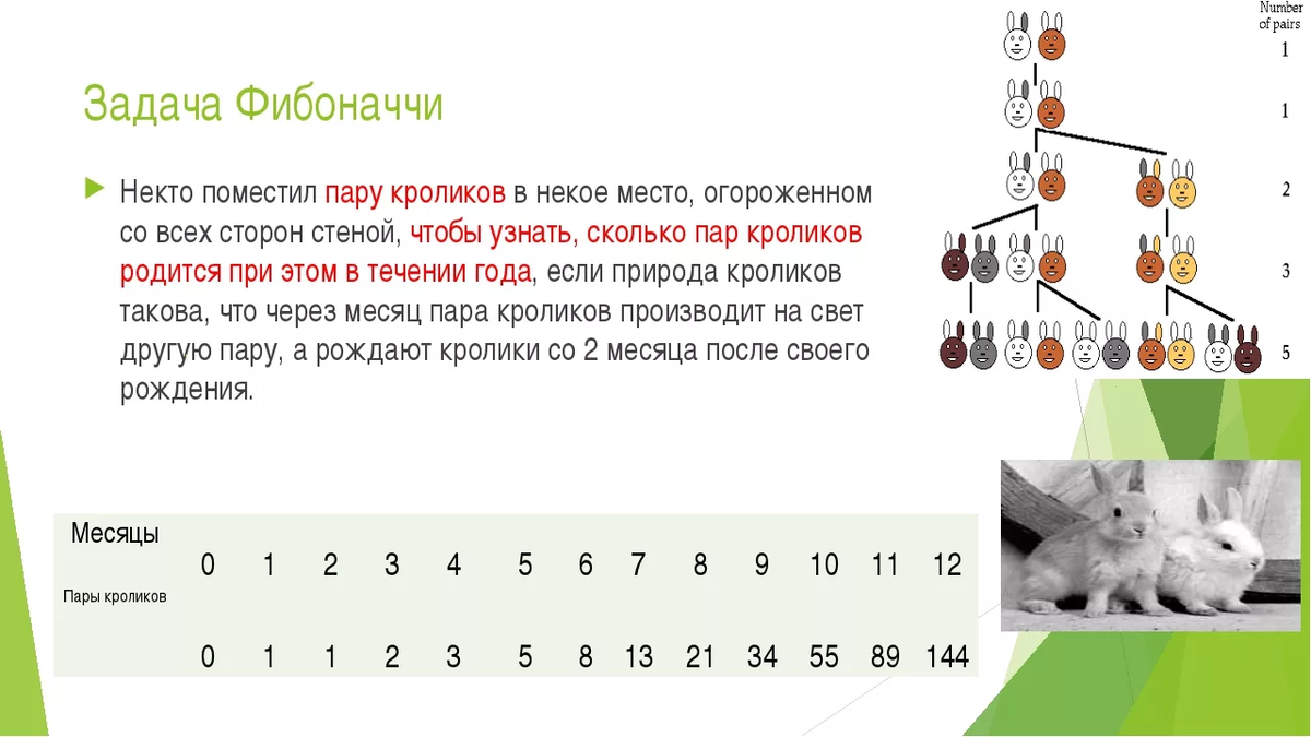 Вывести ряд фибоначчи. Леонардо Пизанский задача с кроликами. Последовательность Фибоначчи кролики.