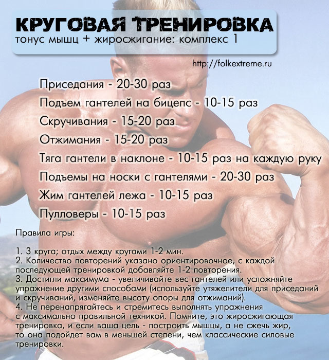 Примерная программа