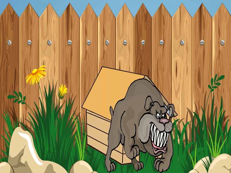 Собака скалит зубы