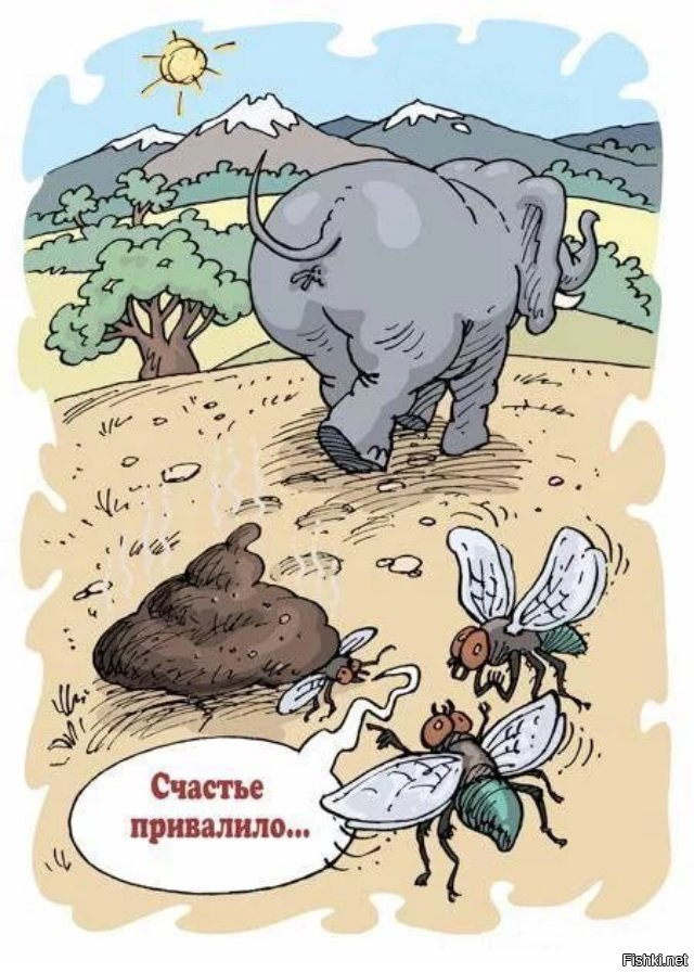 Источник фото: https://cdn.fishki.net/