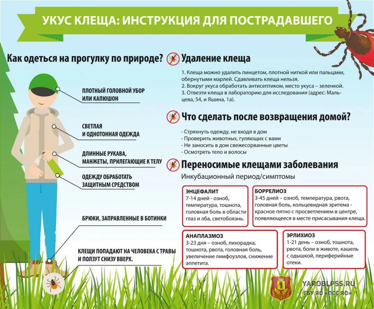 В случае чего данная памятка будет необходима)
Источник фото в правом нижнем  углу