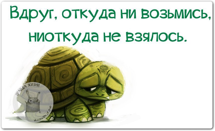 вдруг откуда не возьмись появилась я смирись картинки. вдруг откуда ни возьмись. вдруг откуда ни. высказывания с черным юмором. вдруг откуда невозьмись появился.