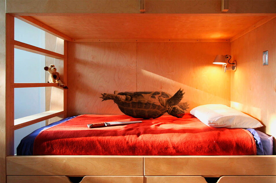 Коллаж составлен из фотографий, размещённых в открытых источниках.