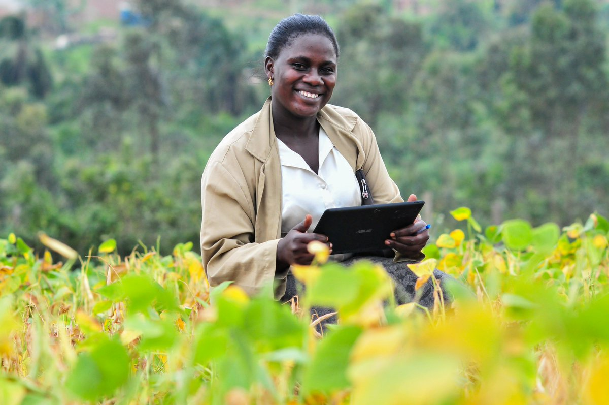 Kenya west. Сельское хозяйство Африки. Менеджер Африка. Уганда поля табака. Smart Agriculture.