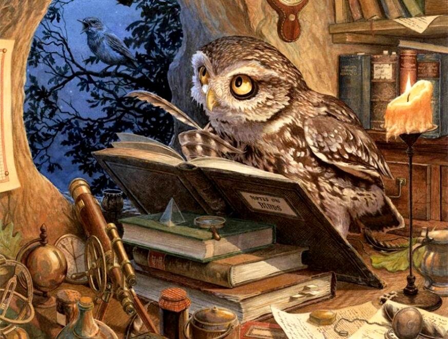 Знания мудрость. Сова мудрости. Сова с книжкой. Сова с книгой. Сова мудрость.