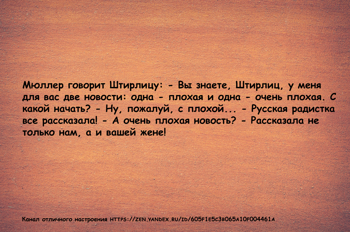 Анекдоты про Штирлица: только лучшее (часть 1) | Канал отличного  настроения! | Дзен