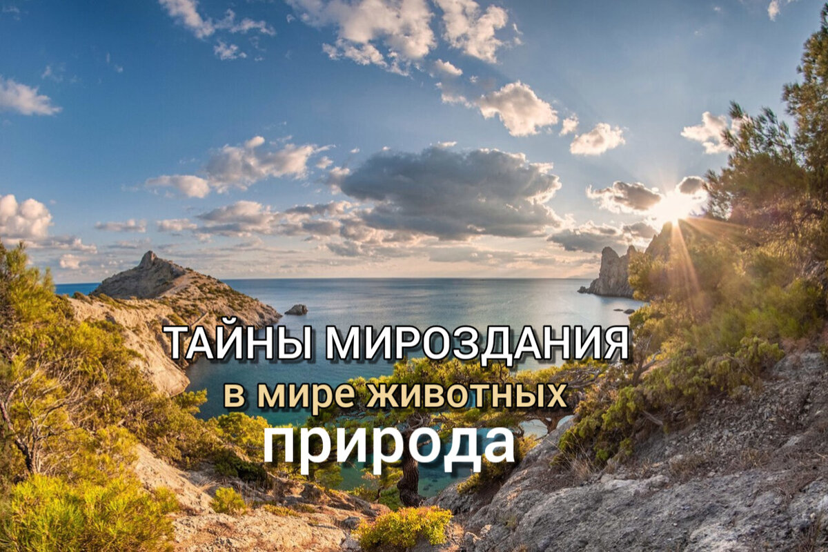 Мой канал: https://youtube.com/channel/UCWGJN77Rte5s5-4q03zia2Q