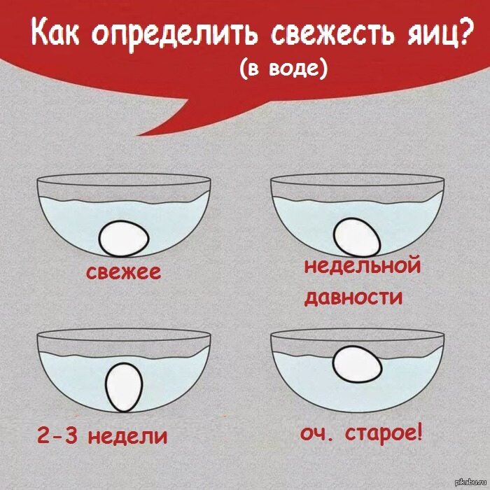 https://russkie-perepela.ru/kak-opredelit-svezest-kurinyh-aic-v-domasnih-usloviah-sposoby-proverki-poleznye-rekomendacii/