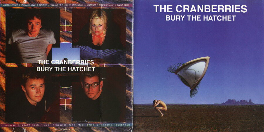 The Cranberries 1999 Bury the Hatchet. Bury the Hatchet the Cranberries обложка. Cranberries 1989. Cranberries 1991.