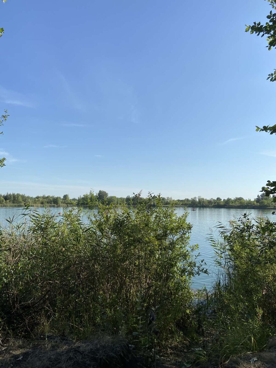 Лесное озеро Алексеевка