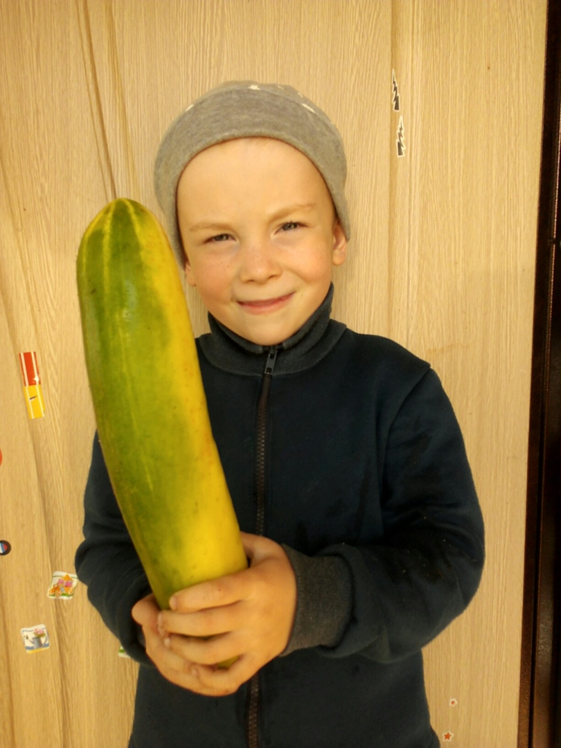 Огурец немного перерос