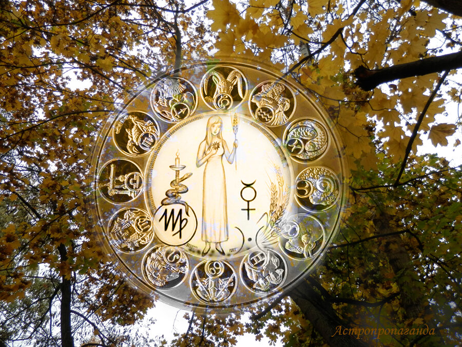 Коллаж Нины Стрелковой. 