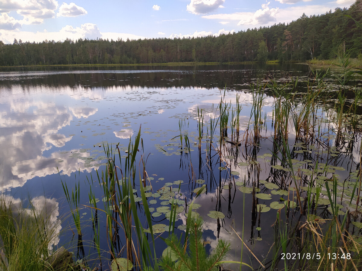 Малое келецкое озеро